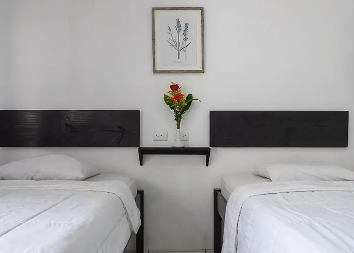 Hotel Cañas